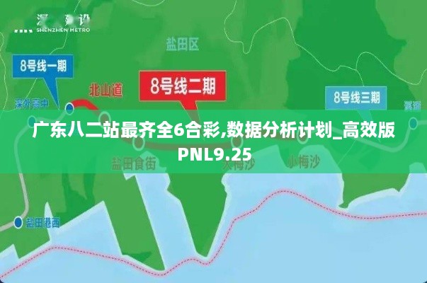 广东八二站最齐全6合彩,数据分析计划_高效版PNL9.25