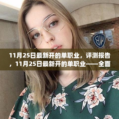 11月25日最新开的单职业，评测报告，11月25日最新开的单职业——全面解读其特性、体验与竞品对比