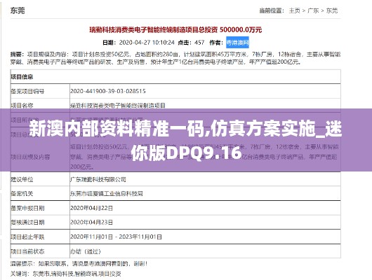 新澳内部资料精准一码,仿真方案实施_迷你版DPQ9.16