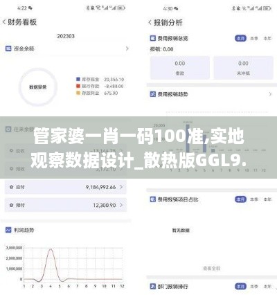 管家婆一肖一码100准,实地观察数据设计_散热版GGL9.78