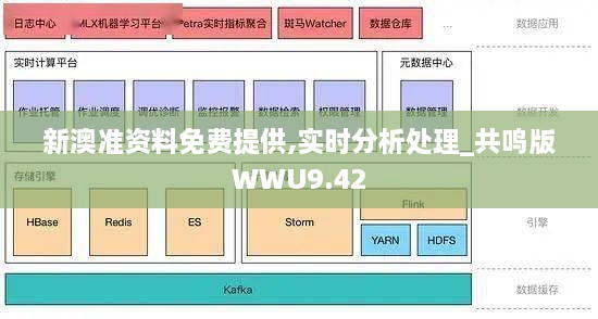 新澳准资料免费提供,实时分析处理_共鸣版WWU9.42