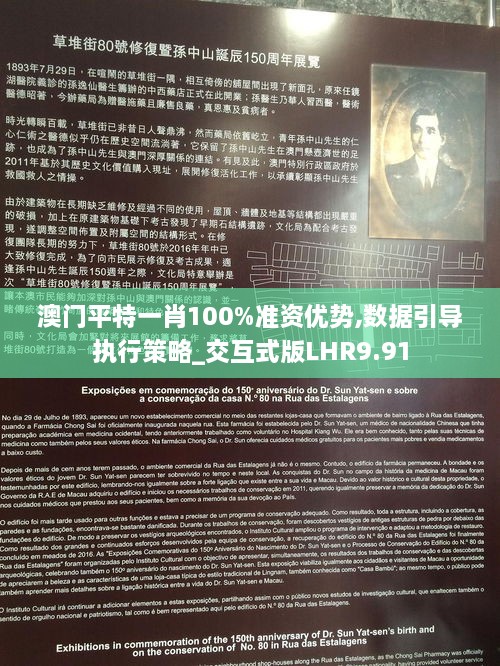 澳门平特一肖100%准资优势,数据引导执行策略_交互式版LHR9.91