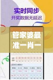 管家婆最准一肖一特333期,专业解读方案实施_极致版VOF11.29