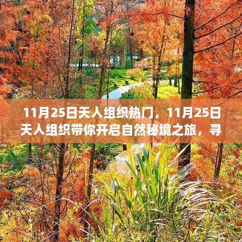 11月25日天人组织引领自然秘境之旅，探寻内心宁静与平和的力量