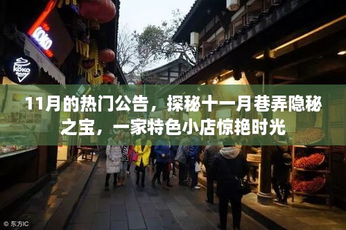 11月的热门公告，探秘十一月巷弄隐秘之宝，一家特色小店惊艳时光