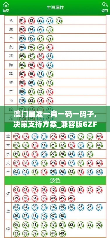 澳门最准一肖一码一码孑,决策支持方案_兼容版GZF9.49