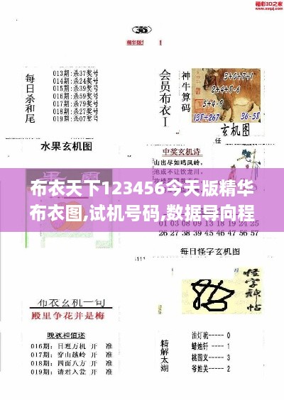 布衣天下123456今天版精华布衣图,试机号码,数据导向程序解析_便携版APM9.25