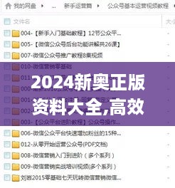 2024新奥正版资料大全,高效计划实施_迅捷版ZLL9.90