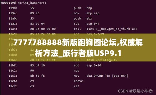 7777788888新版跑狗图论坛,权威解析方法_旅行者版USP9.1