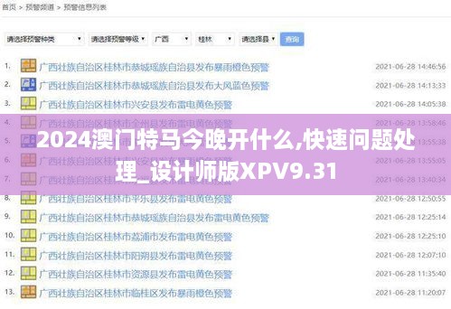 2024澳门特马今晚开什么,快速问题处理_设计师版XPV9.31