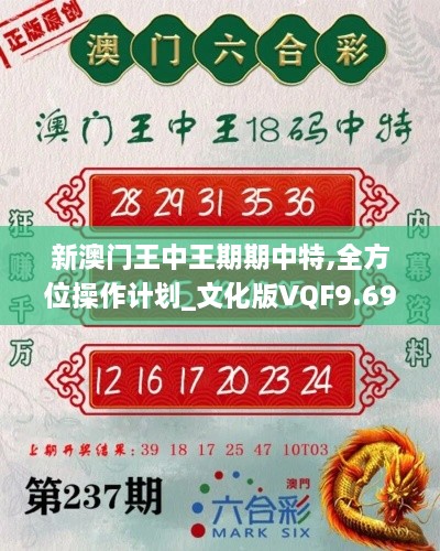 新澳门王中王期期中特,全方位操作计划_文化版VQF9.69