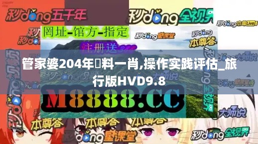 管家婆204年資料一肖,操作实践评估_旅行版HVD9.8