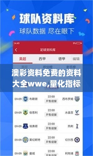 澳彩资料免费的资料大全wwe,量化指标_全景版NQE9.19