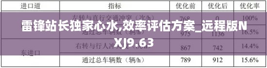 雷锋站长独家心水,效率评估方案_远程版NXJ9.63