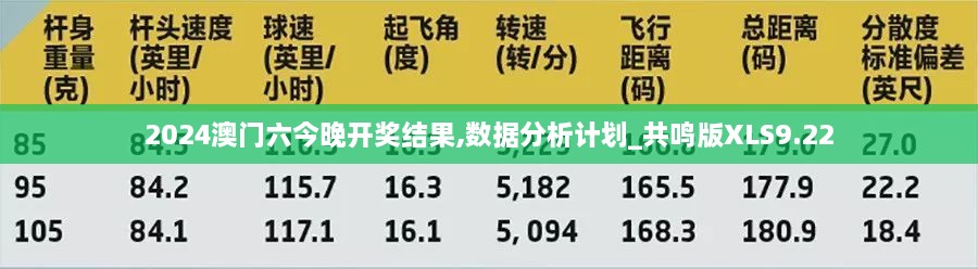 2024澳门六今晚开奖结果,数据分析计划_共鸣版XLS9.22