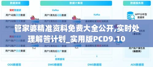 管家婆精准资料免费大全公开,实时处理解答计划_实用版PCD9.10