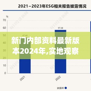 新门内部资料最新版本2024年,实地观察数据设计_亲和版HBG9.1