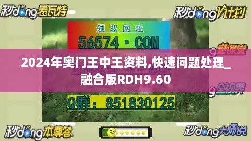 2024年奥门王中王资料,快速问题处理_融合版RDH9.60