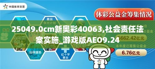 25049.0cm新奥彩40063,社会责任法案实施_游戏版AEO9.24