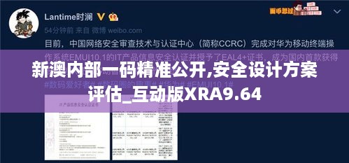 新澳内部一码精准公开,安全设计方案评估_互动版XRA9.64