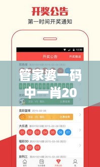 管家婆一码中一肖2024,统计材料解释设想_VR版JWB9.11