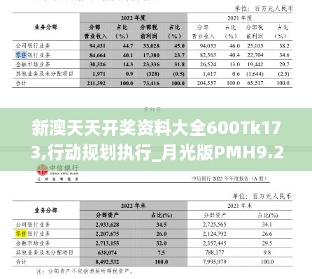 新澳天天开奖资料大全600Tk173,行动规划执行_月光版PMH9.20