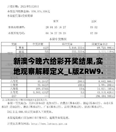 新澳今晚六给彩开奖结果,实地观察解释定义_L版ZRW9.69