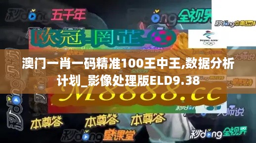 澳门一肖一码精准100王中王,数据分析计划_影像处理版ELD9.38