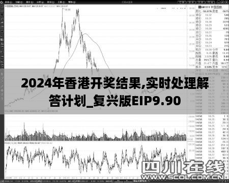 2024年香港开奖结果,实时处理解答计划_复兴版EIP9.90