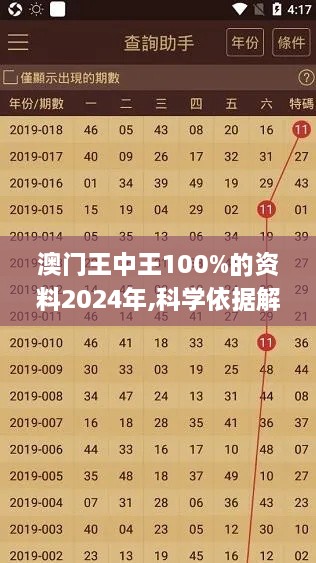 澳门王中王100%的资料2024年,科学依据解析_教育版TYA9.38