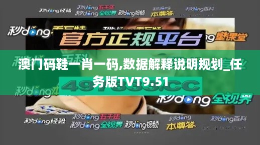 澳门码鞋一肖一码,数据解释说明规划_任务版TVT9.51