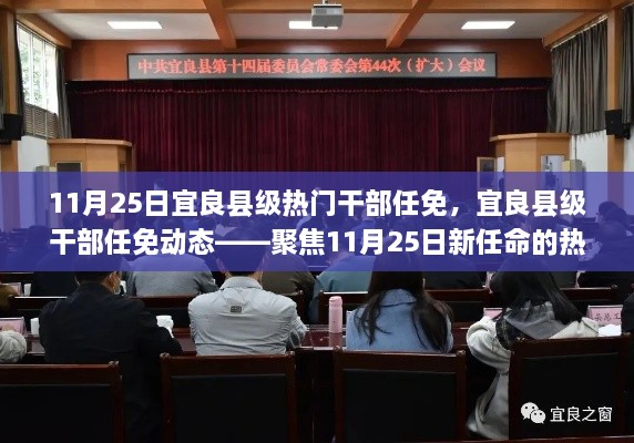 宜良县级热门干部任免动态，聚焦新任命的干部名单（11月25日）