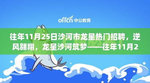 往年11月25日沙河市龙星热门招聘，逆风翱翔，龙星沙河筑梦——往年11月25日沙河市龙星热门招聘背后的励志故事