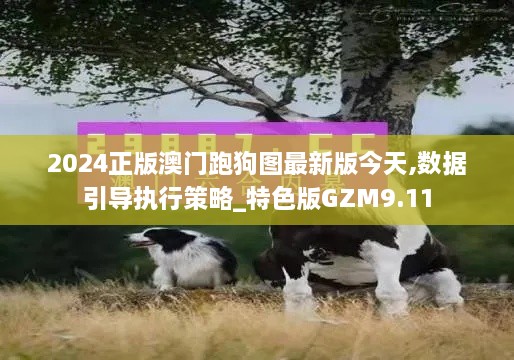 2024正版澳门跑狗图最新版今天,数据引导执行策略_特色版GZM9.11