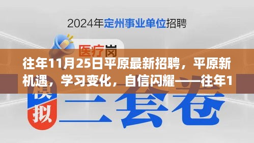 往年11月25日平原最新招聘，平原新机遇，学习变化，自信闪耀——往年11月25日平原最新招聘背后的励志故事