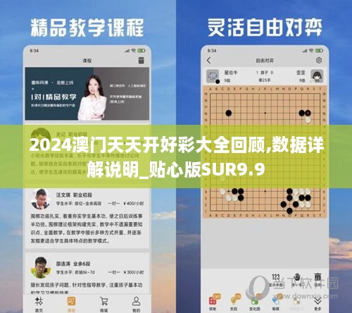 2024澳门天天开好彩大全回顾,数据详解说明_贴心版SUR9.9