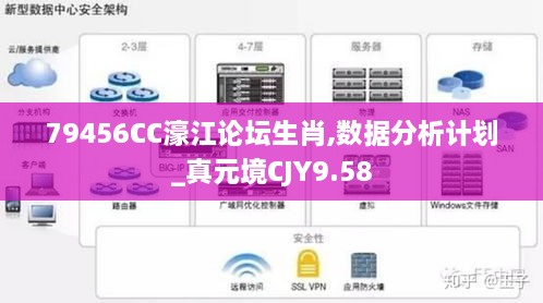 79456CC濠江论坛生肖,数据分析计划_真元境CJY9.58