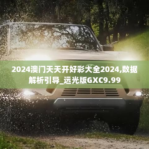 2024澳门天天开好彩大全2024,数据解析引导_远光版GXC9.99