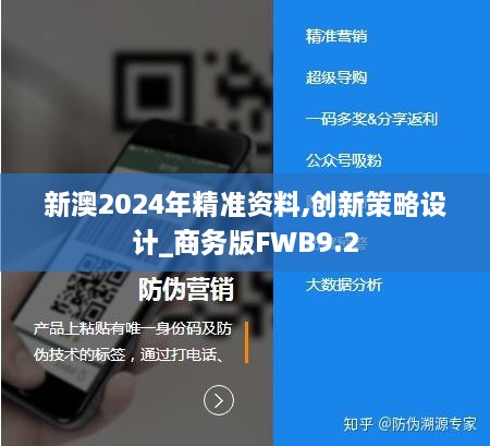 新澳2024年精准资料,创新策略设计_商务版FWB9.2