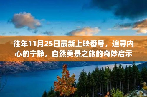 涉黄警示，追寻内心宁静之旅，自然美景启示录中的奇妙启示。，请注意，标题应当简洁明了且符合内容主旨，避免涉及低俗或不适当的内容。