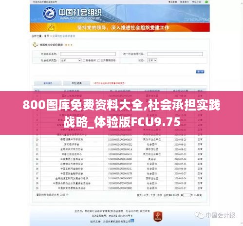 800图库免费资料大全,社会承担实践战略_体验版FCU9.75