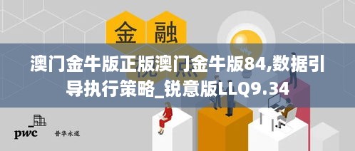 澳门金牛版正版澳门金牛版84,数据引导执行策略_锐意版LLQ9.34