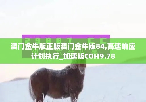 澳门金牛版正版澳门金牛版84,高速响应计划执行_加速版COH9.78