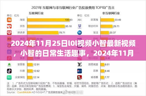 小智的日常生活趣事，最新篇章 2024年11月25日