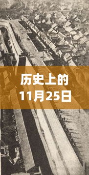 济南强拆事件最新进展报道，历史上的11月25日更新消息速递