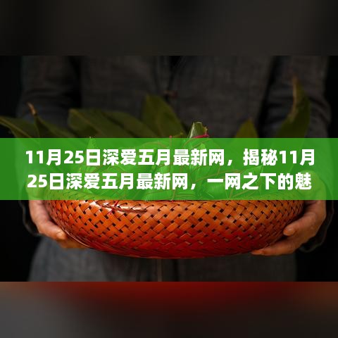 揭秘，11月25日深爱五月最新网之魅力与深度探索