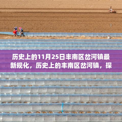 探寻丰南区岔河镇规划变迁轨迹，最新规划解读（11月25日版）