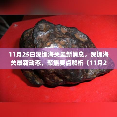 11月25日深圳海关最新消息，深圳海关最新动态，聚焦要点解析（11月25日更新）