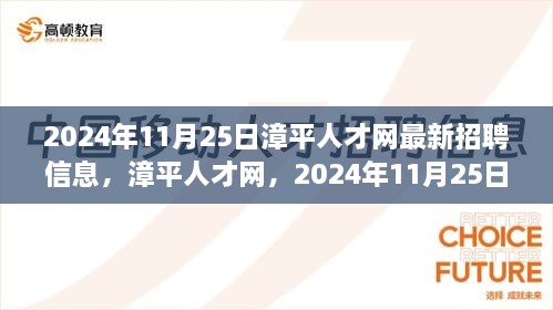 漳平人才网最新招聘信息概览与影响回顾（2024年11月25日）