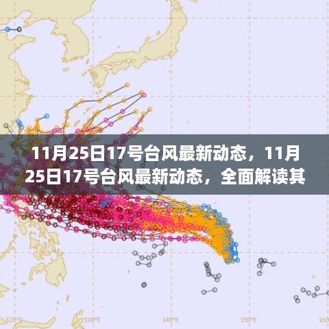 11月25日17号台风最新动态，全面解读、使用体验与目标用户群体分析